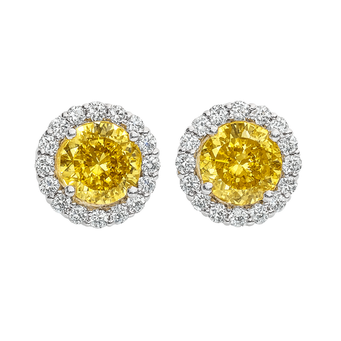 HLJE004 Muse StudLuxe Earrings - Platinum Statement Gift